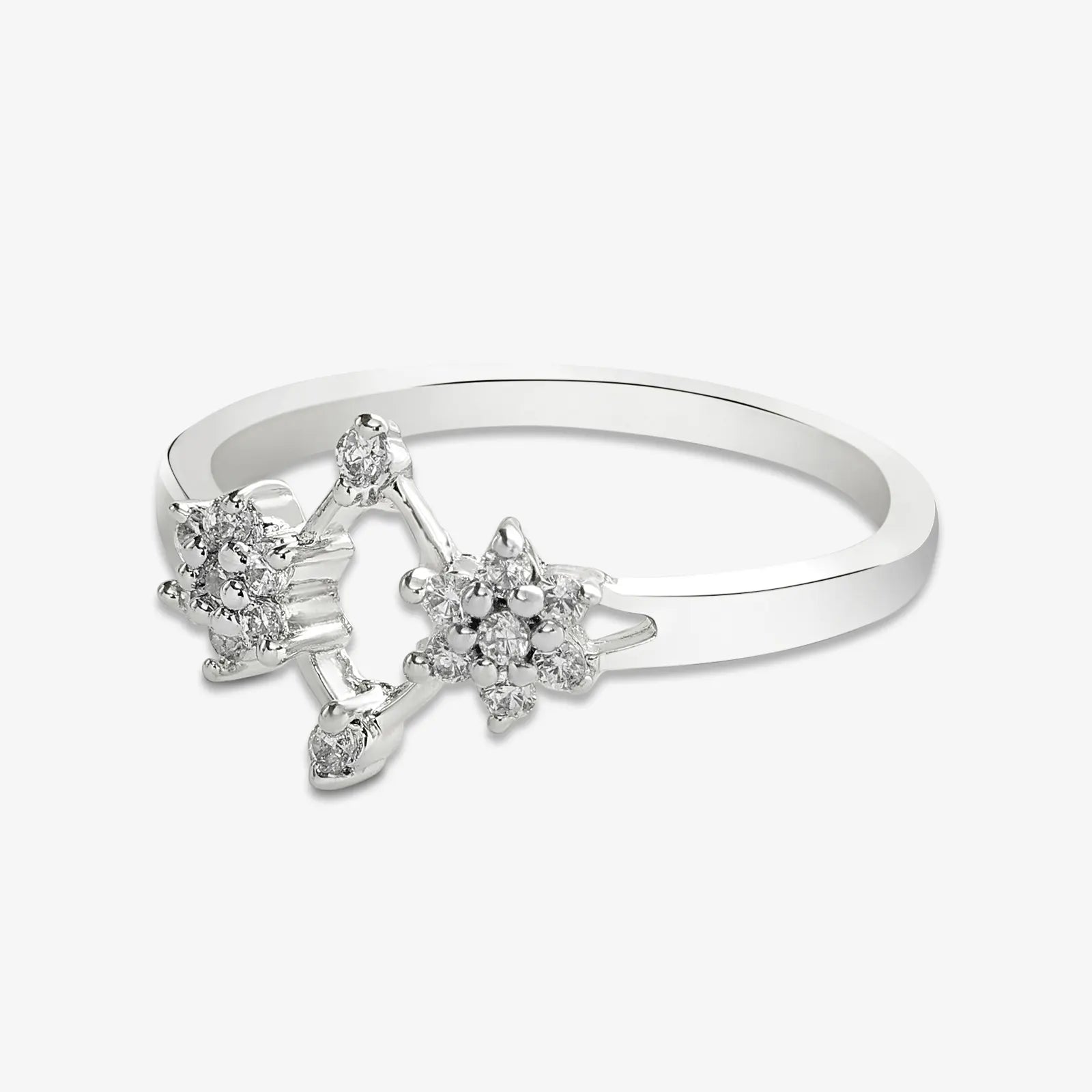 Silver Duo Flower Ring