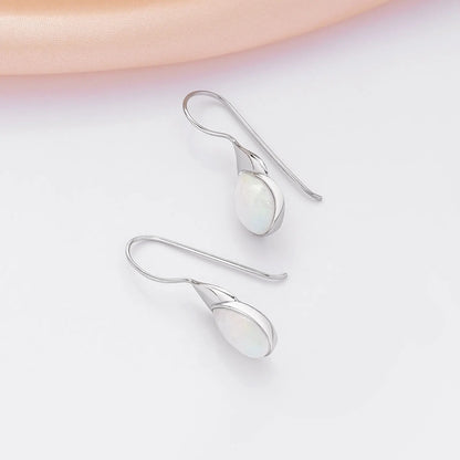 Drop Leaf Silver Earrings
